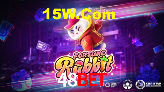 Premium Interface 48bet